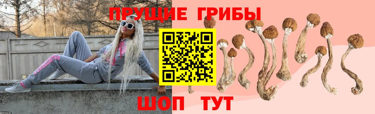 Галлюциногенные грибы мухоморы  Псилоцибиновые грибы GOLDEN TEACHER  Красноармейск  Вход с VPN 